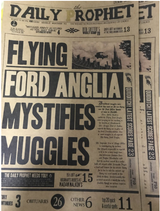 Harry Potter Flying Car Black and White Poster